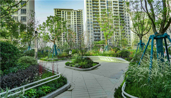 園冶杯參賽作品丨金地翡翠星辰一期景觀花境工程