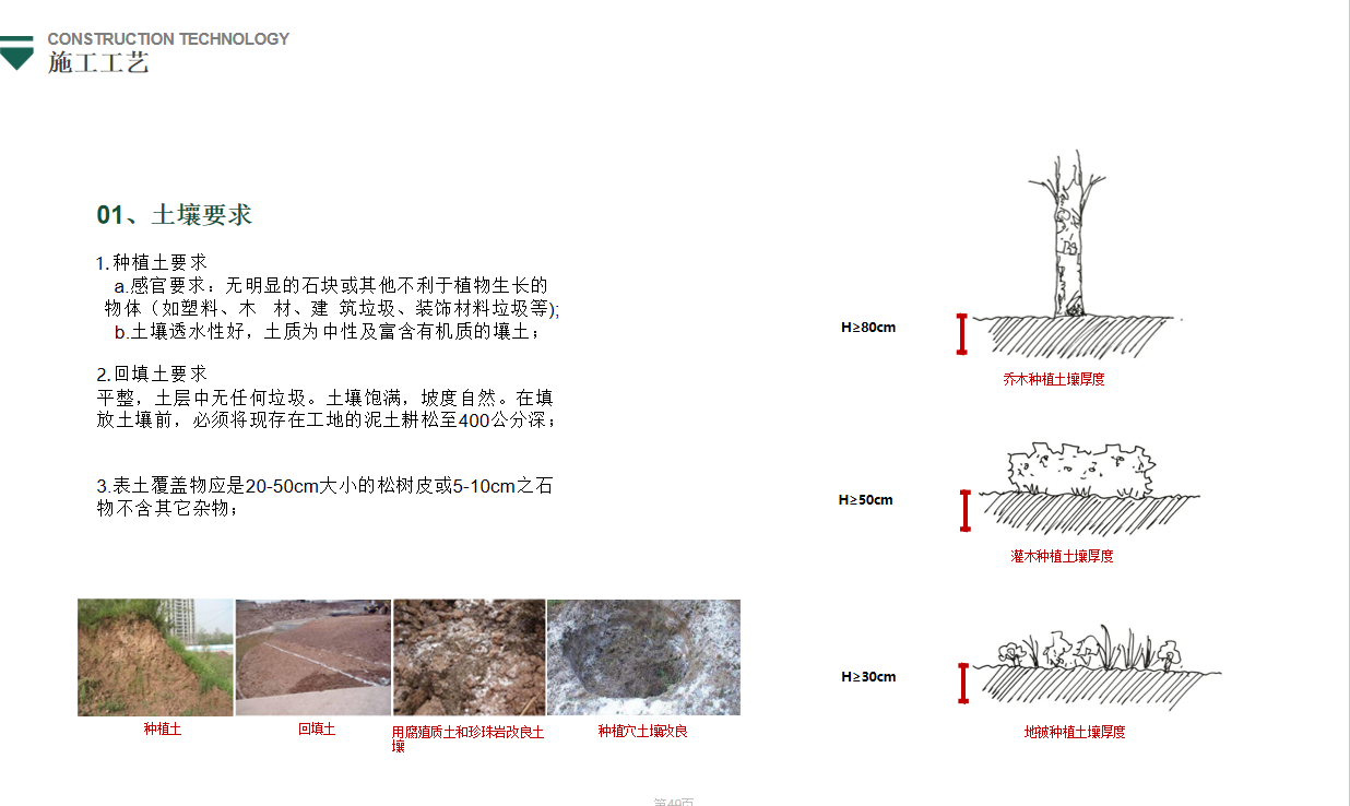 園冶杯參賽作品丨金地翡翠星辰一期景觀花境工程