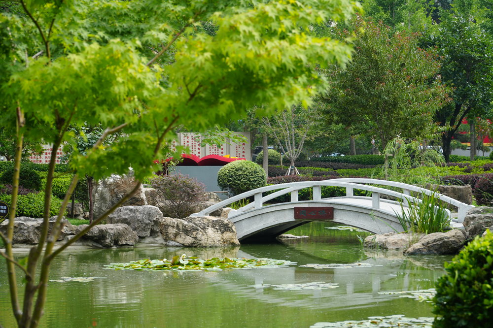 園冶杯參賽作品丨臨沂市蘭山區(qū)委黨校