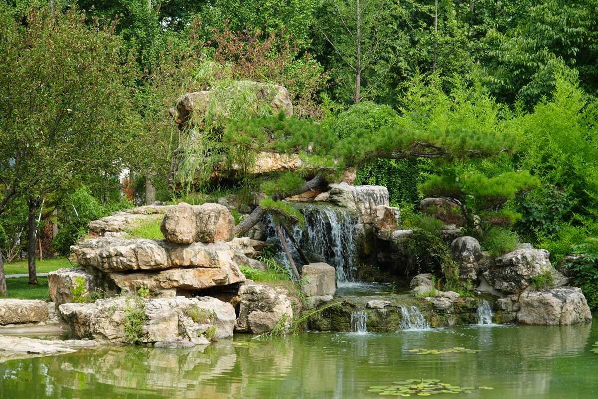園冶杯參賽作品丨臨沂市蘭山區(qū)委黨校