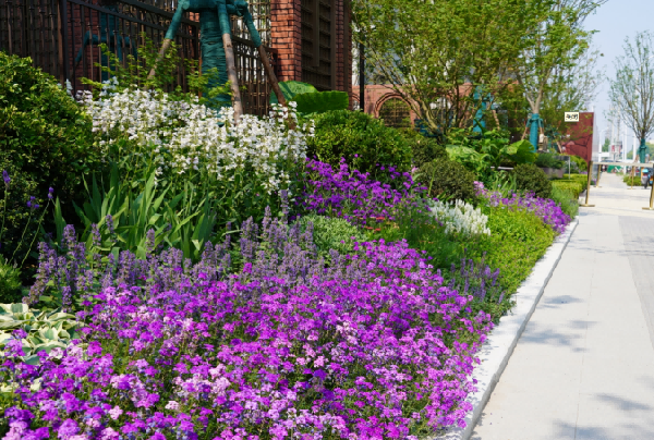 園冶杯參賽作品丨金地新樂里項目景觀花境工程