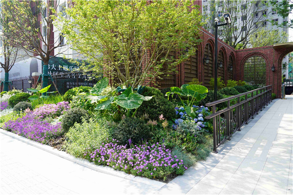 園冶杯參賽作品丨金地新樂里項目景觀花境工程