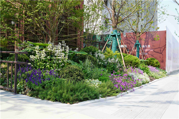 園冶杯參賽作品丨金地新樂里項目景觀花境工程