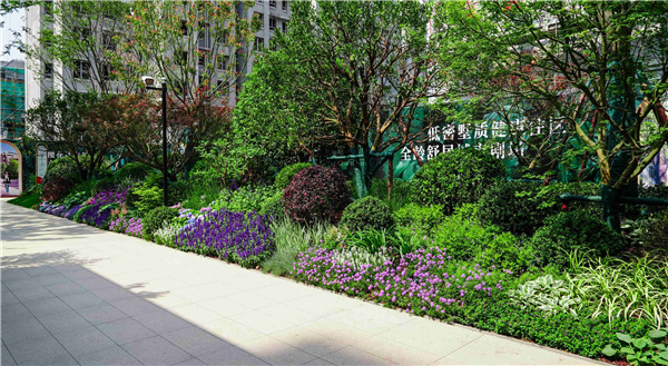 園冶杯參賽作品丨金地新樂里項目景觀花境工程