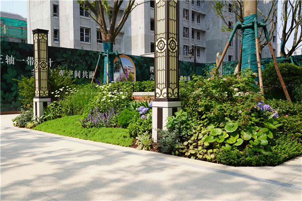 園冶杯參賽作品丨金地新樂里項目景觀花境工程