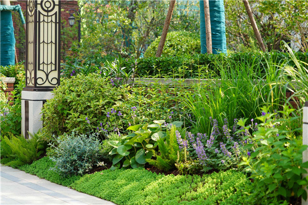 園冶杯參賽作品丨金地新樂里項目景觀花境工程