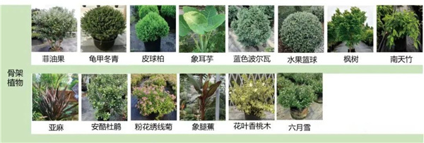 園冶杯參賽作品丨金地新樂里項目景觀花境工程