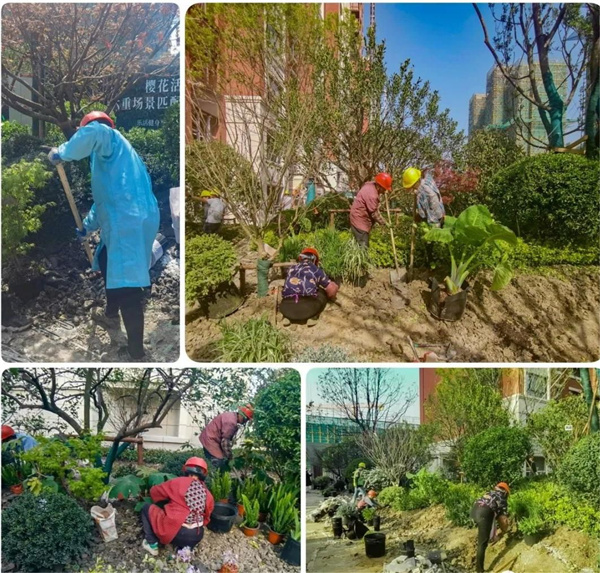 園冶杯參賽作品丨金地新樂里項目景觀花境工程