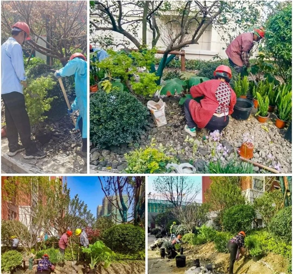 園冶杯參賽作品丨金地新樂里項目景觀花境工程