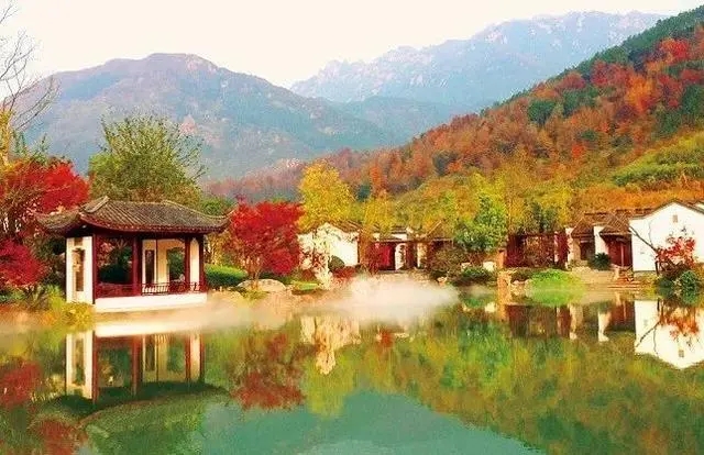 “一把大剪刀走天下”,園林綠化如何吸引更多年輕人?