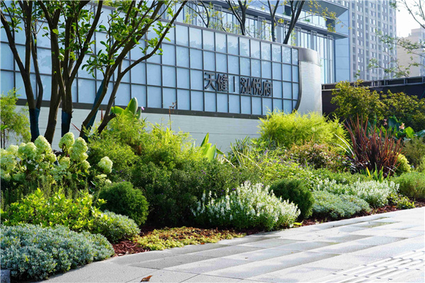 園冶杯參賽作品丨吳江WJ-J-2022-001號地塊項目 展示區花境工程