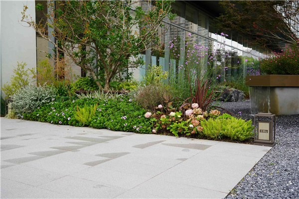 園冶杯參賽作品丨吳江WJ-J-2022-001號地塊項目 展示區花境工程