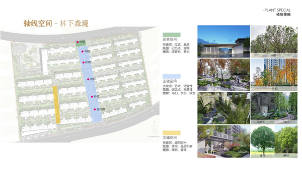 園冶杯參賽作品丨瀘州優品道半山峰景