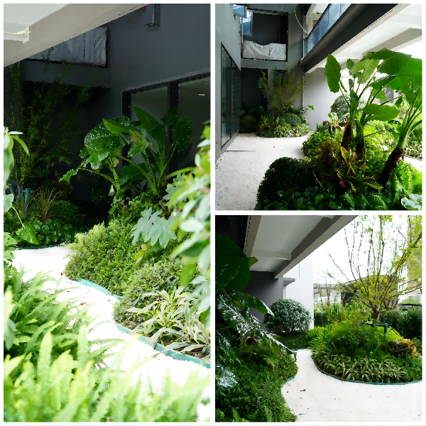 園冶杯參賽作品丨嘉興華潤潤府項目北地塊景觀花境工程