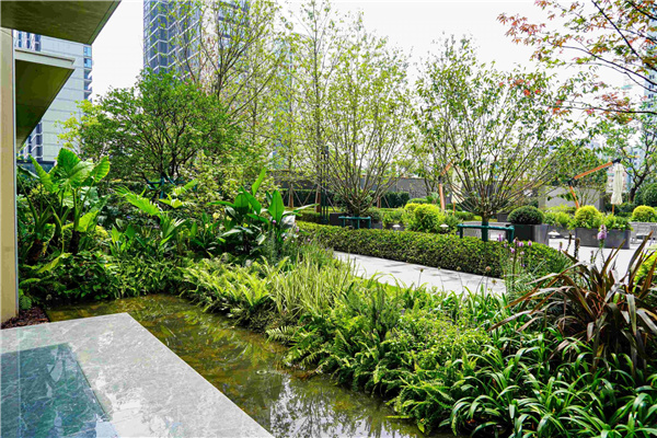 園冶杯參賽作品丨嘉興華潤潤府項目北地塊景觀花境工程