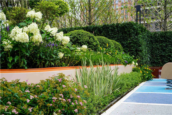 園冶杯參賽作品丨嘉興華潤潤府項目北地塊景觀花境工程