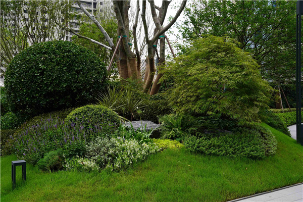 園冶杯參賽作品丨嘉興華潤潤府項目北地塊景觀花境工程