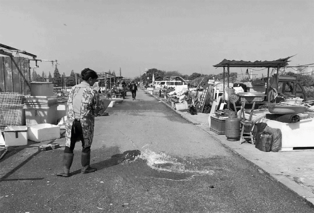 無錫太湖流域小溪港魚咀公園