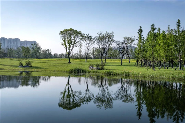 無錫太湖流域小溪港魚咀公園