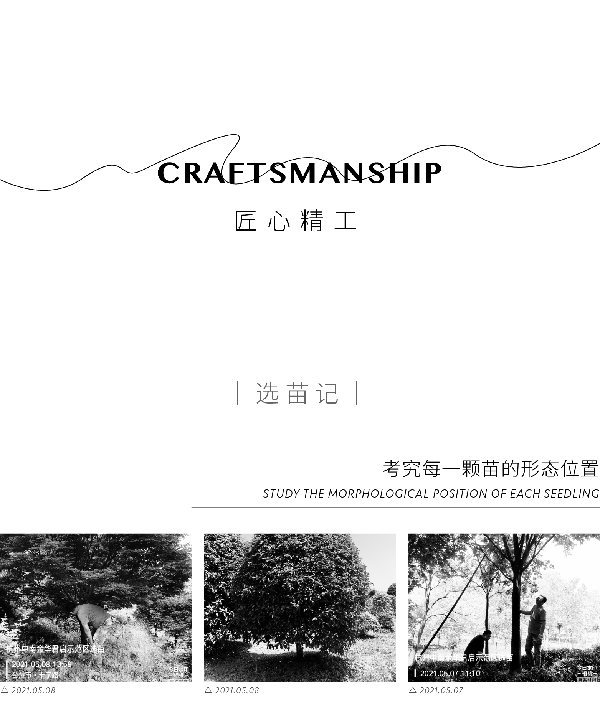 RAY-DESIGN2021中南君啟|趣味·自然·和諧