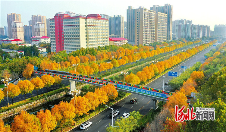 河北衡水建“一湖三區”綠廊,綠出高顏值美出高品質