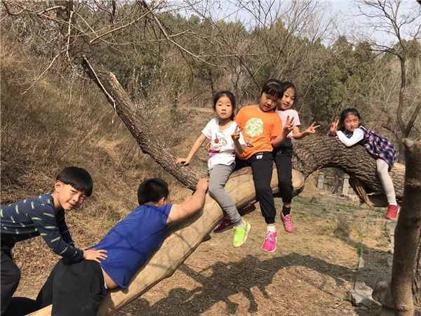 京都風景助力北京生態文明發展建設的十年