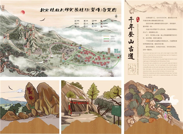 京都風景助力北京生態文明發展建設的十年