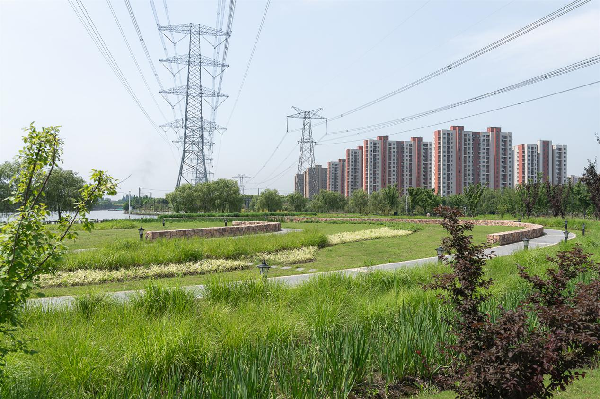 慢行系統——城市的毛細血管如何設計?