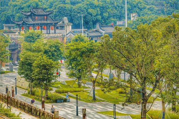 慢行系統——城市的毛細血管如何設計?