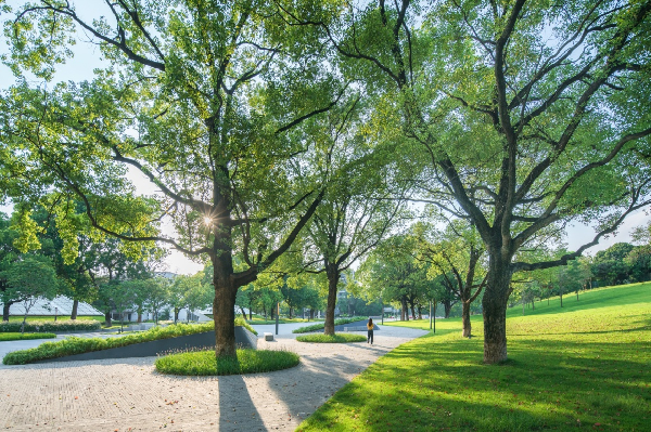 慢行系統——城市的毛細血管如何設計?