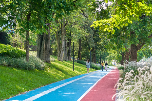 慢行系統——城市的毛細血管如何設計?