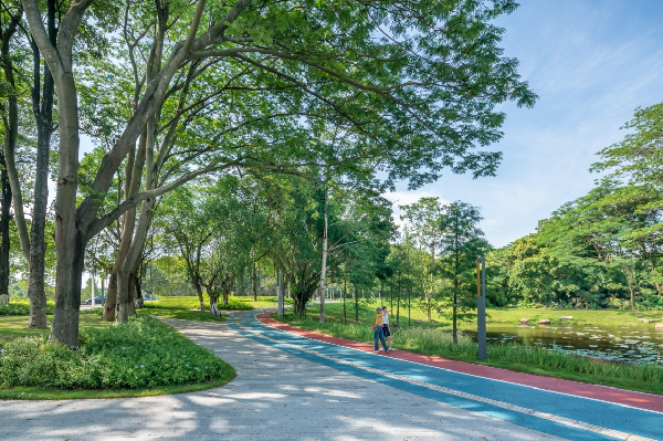 慢行系統——城市的毛細血管如何設計?