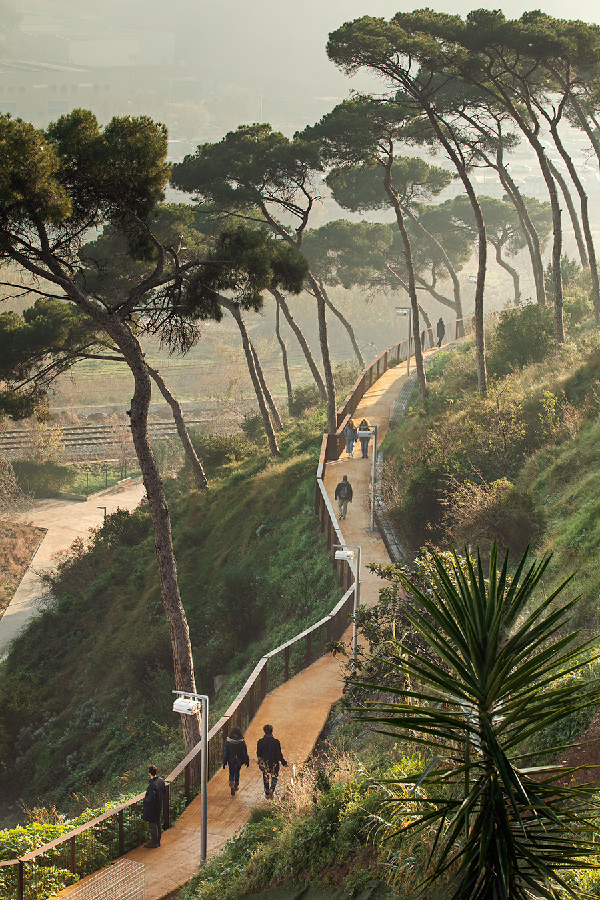 慢行系統——城市的毛細血管如何設計?