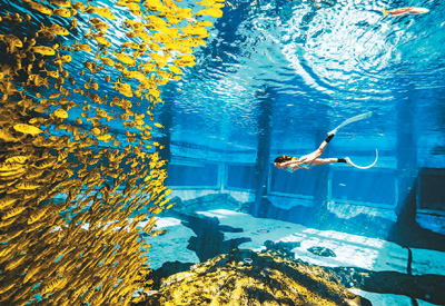 旅游新玩法:追求“體驗感”“參與感”