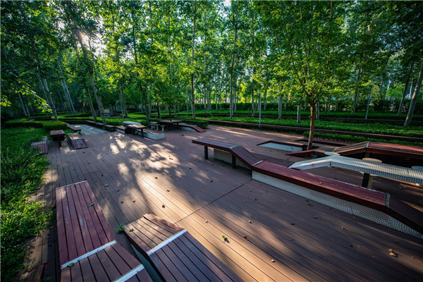 園冶杯獲獎(jiǎng)作品丨桃李園