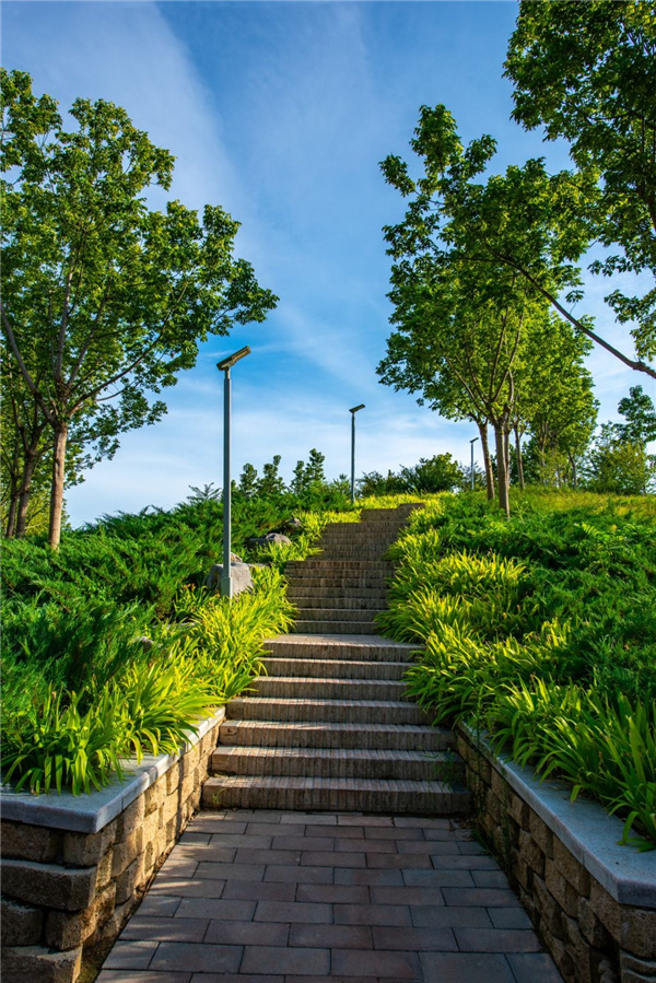 園冶杯獲獎(jiǎng)作品丨桃李園