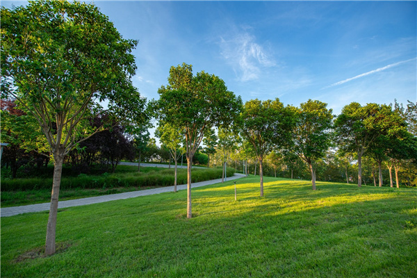 園冶杯獲獎(jiǎng)作品丨桃李園
