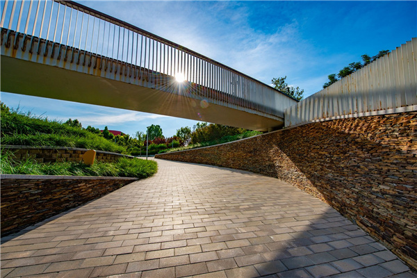 園冶杯獲獎(jiǎng)作品丨桃李園