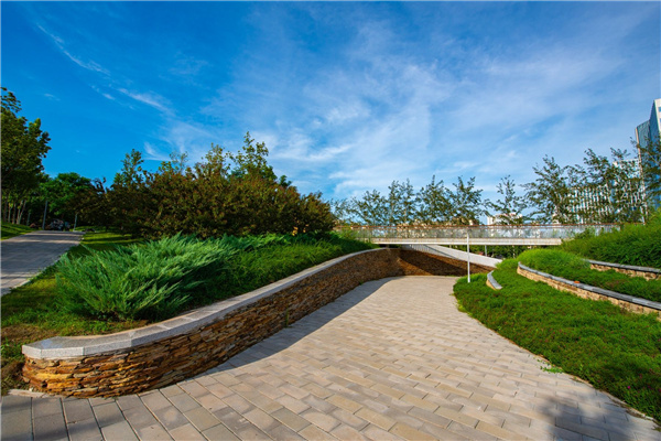 園冶杯獲獎(jiǎng)作品丨桃李園