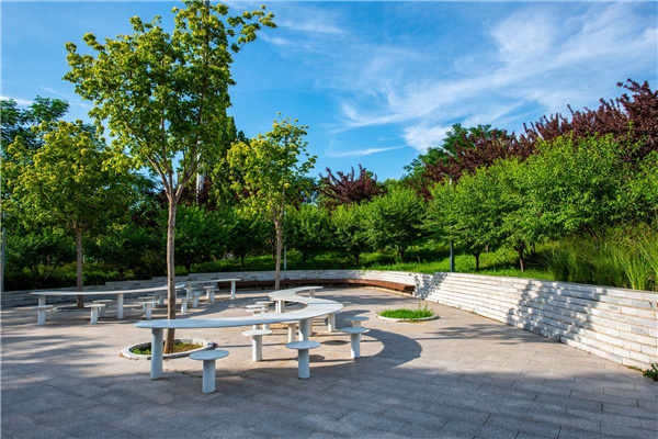 園冶杯獲獎(jiǎng)作品丨桃李園