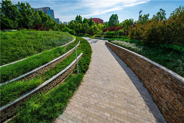 園冶杯獲獎(jiǎng)作品丨桃李園