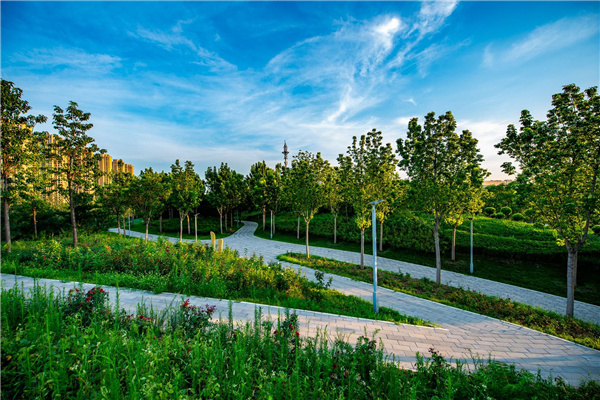 園冶杯獲獎(jiǎng)作品丨桃李園