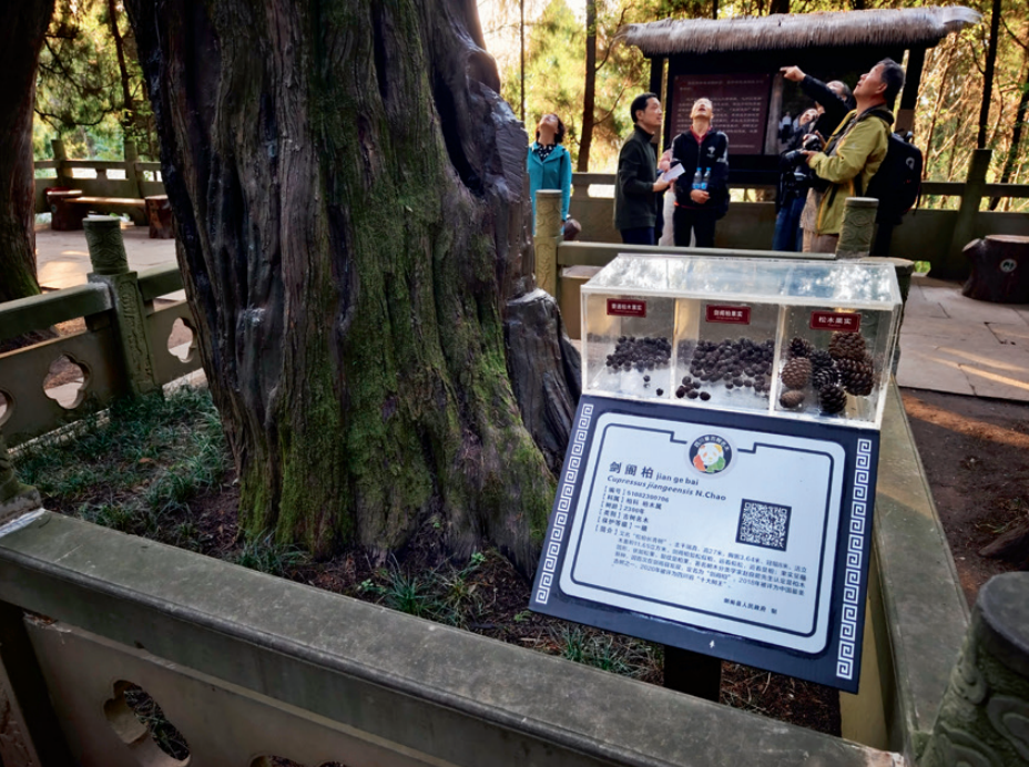 文物保護利用視角下的文化景觀設計