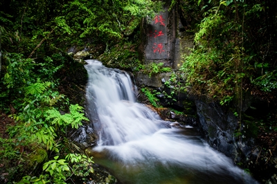 浙江:以國家公園為中心 讓教育回歸自然
