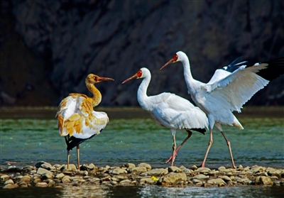 浙江:以國家公園為中心 讓教育回歸自然