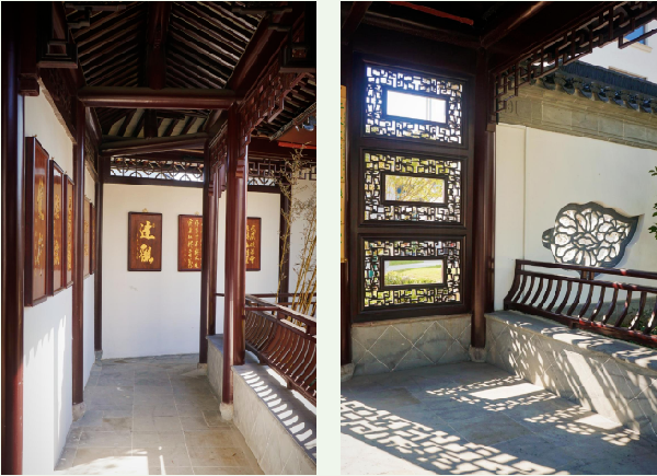 費家浜：特色田園鄉村建設讓無垠星空映照廣闊鄉村