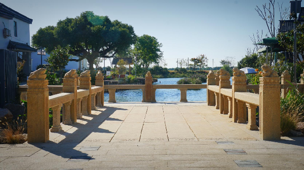 費家浜：特色田園鄉村建設讓無垠星空映照廣闊鄉村