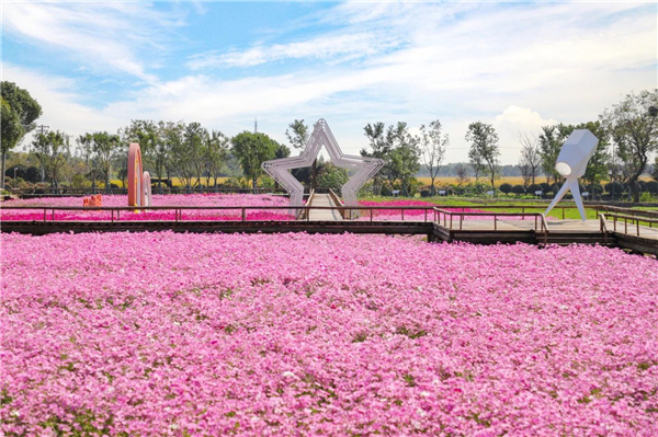 費家浜：特色田園鄉村建設讓無垠星空映照廣闊鄉村