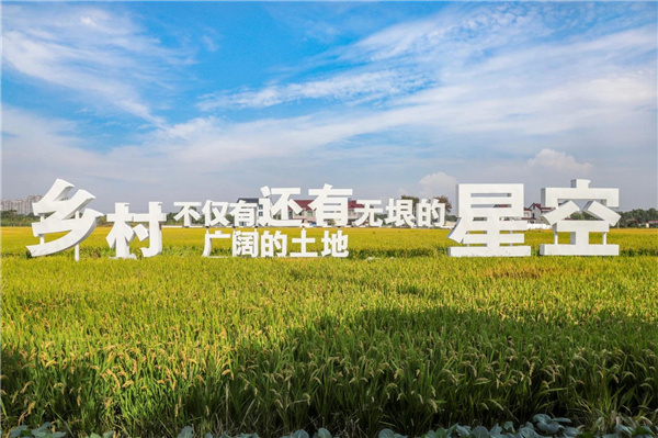 費家浜：特色田園鄉村建設讓無垠星空映照廣闊鄉村