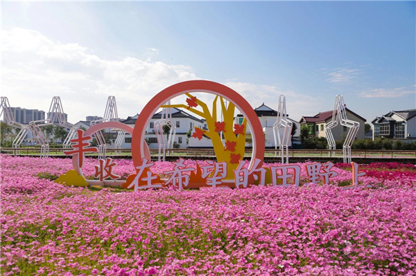 費家浜：特色田園鄉村建設讓無垠星空映照廣闊鄉村